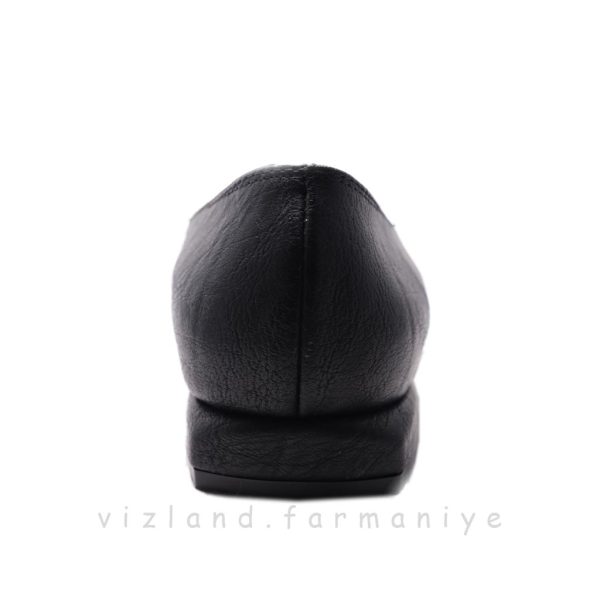 کالج نوک تیز - Image 4