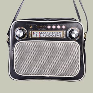 کیف رادیو مشکی ویزلند VIZLAND