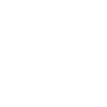 vizlandart-logo-white